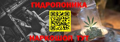 ECSTASY Обь