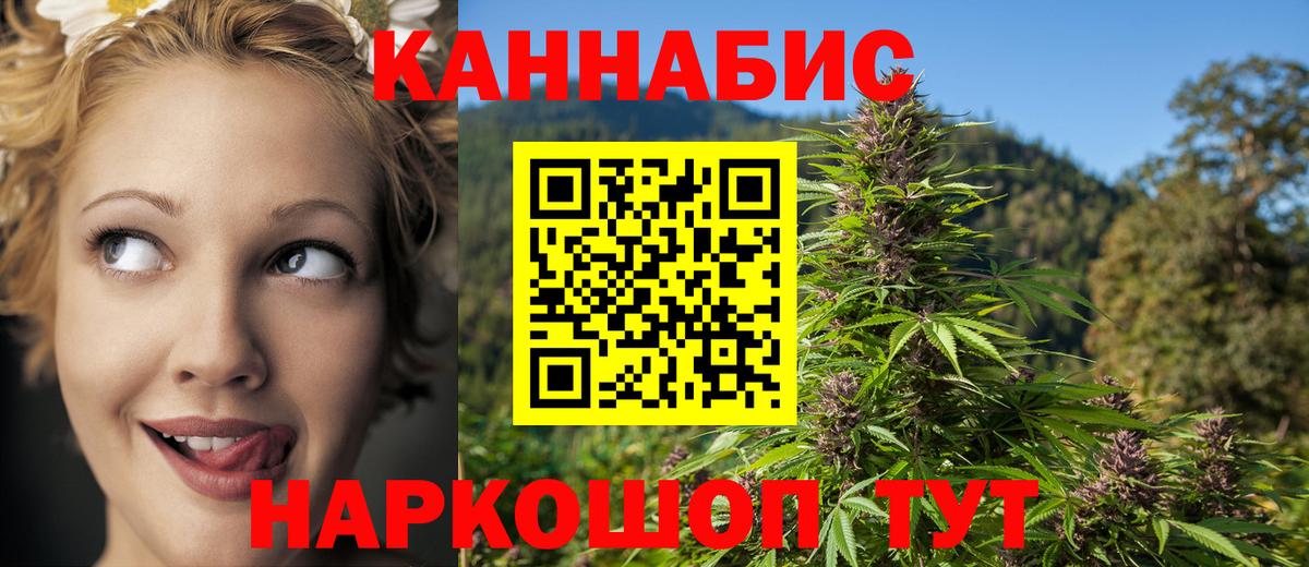 Конопля гибрид Узловая